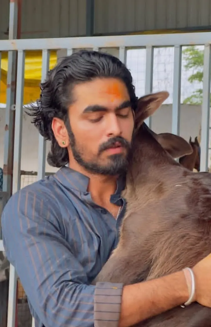 Feed Cows
